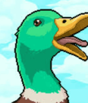 Duck Quack Meme Video Meme